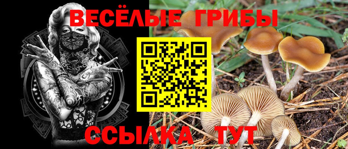Похвистнево  Галлюциногенные грибы мухоморы  Вход с VPN 
